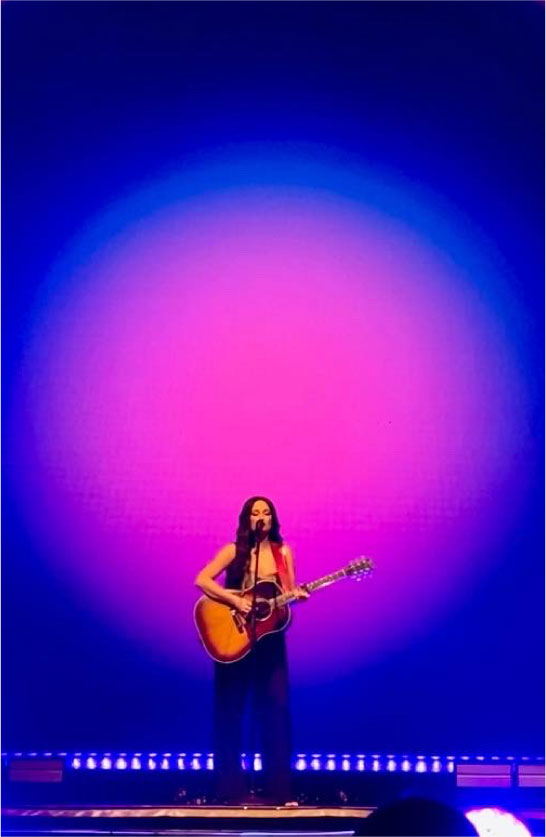 Artist playing the guitar